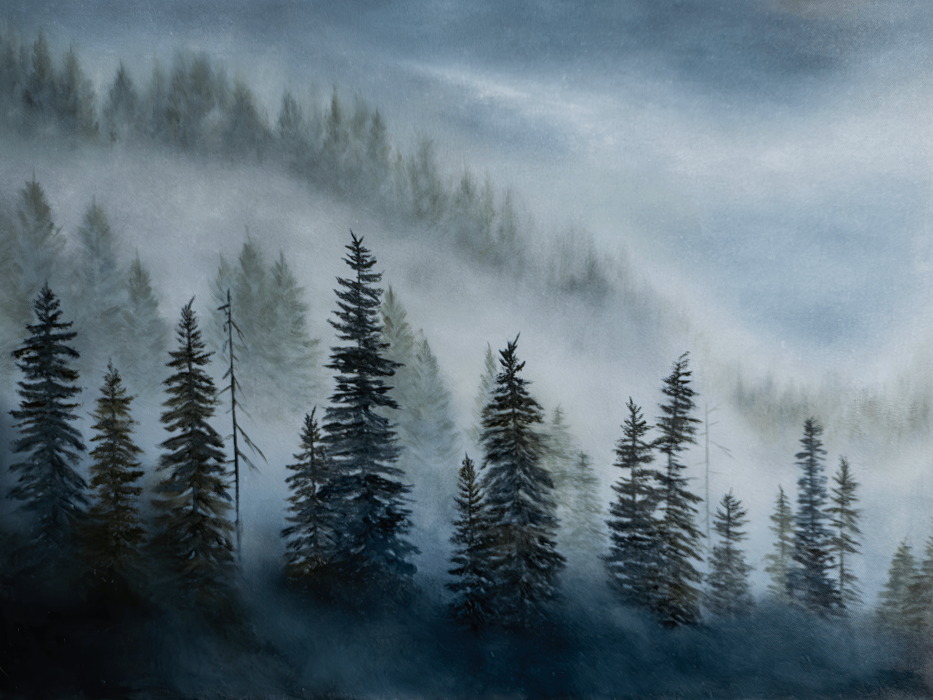 Moody Forest