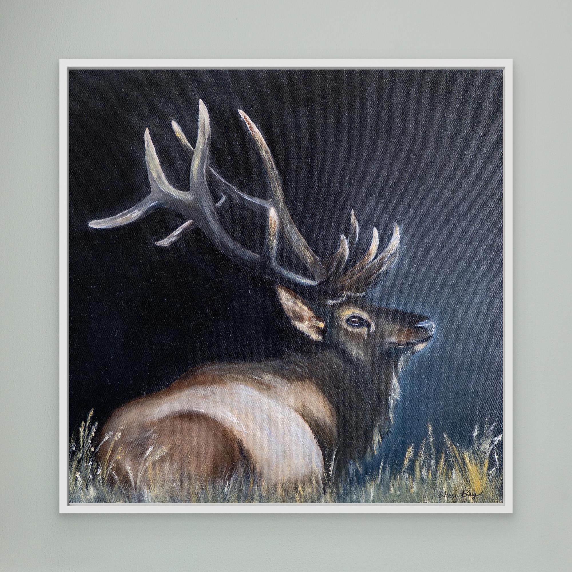 Elk