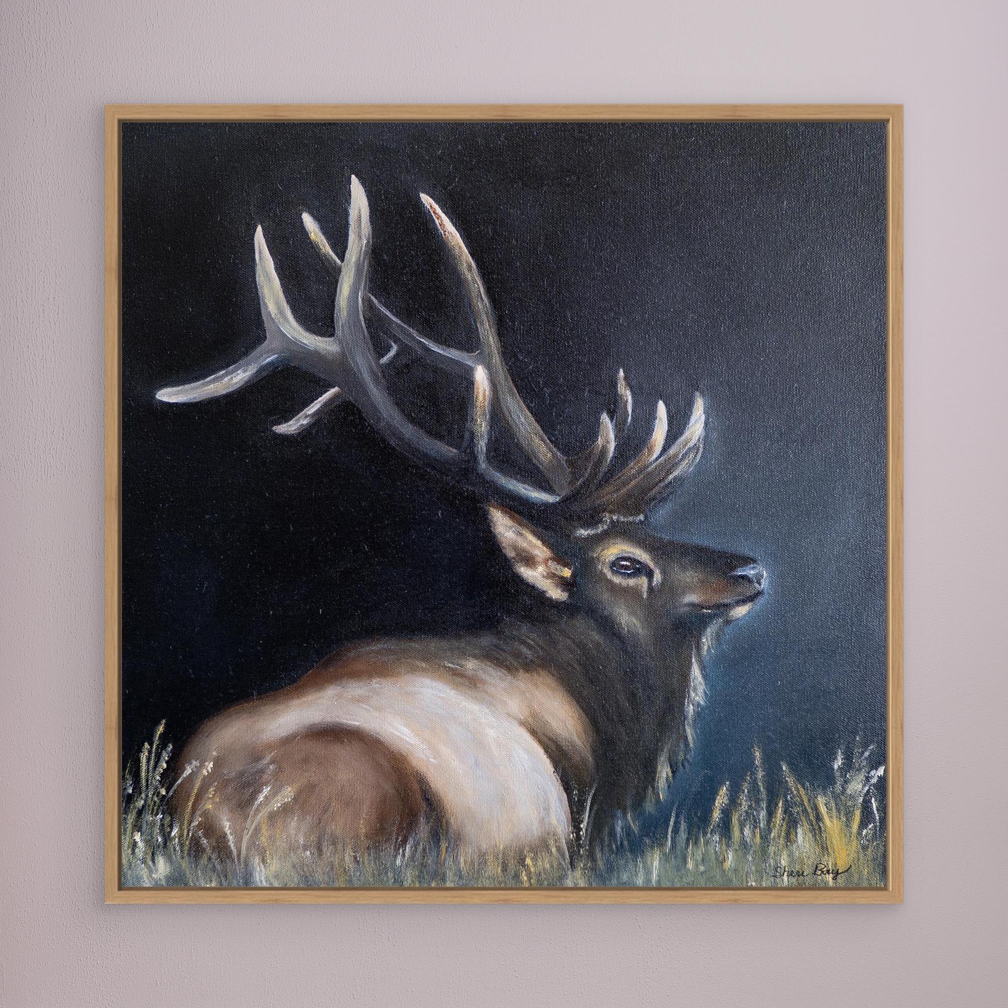 Elk