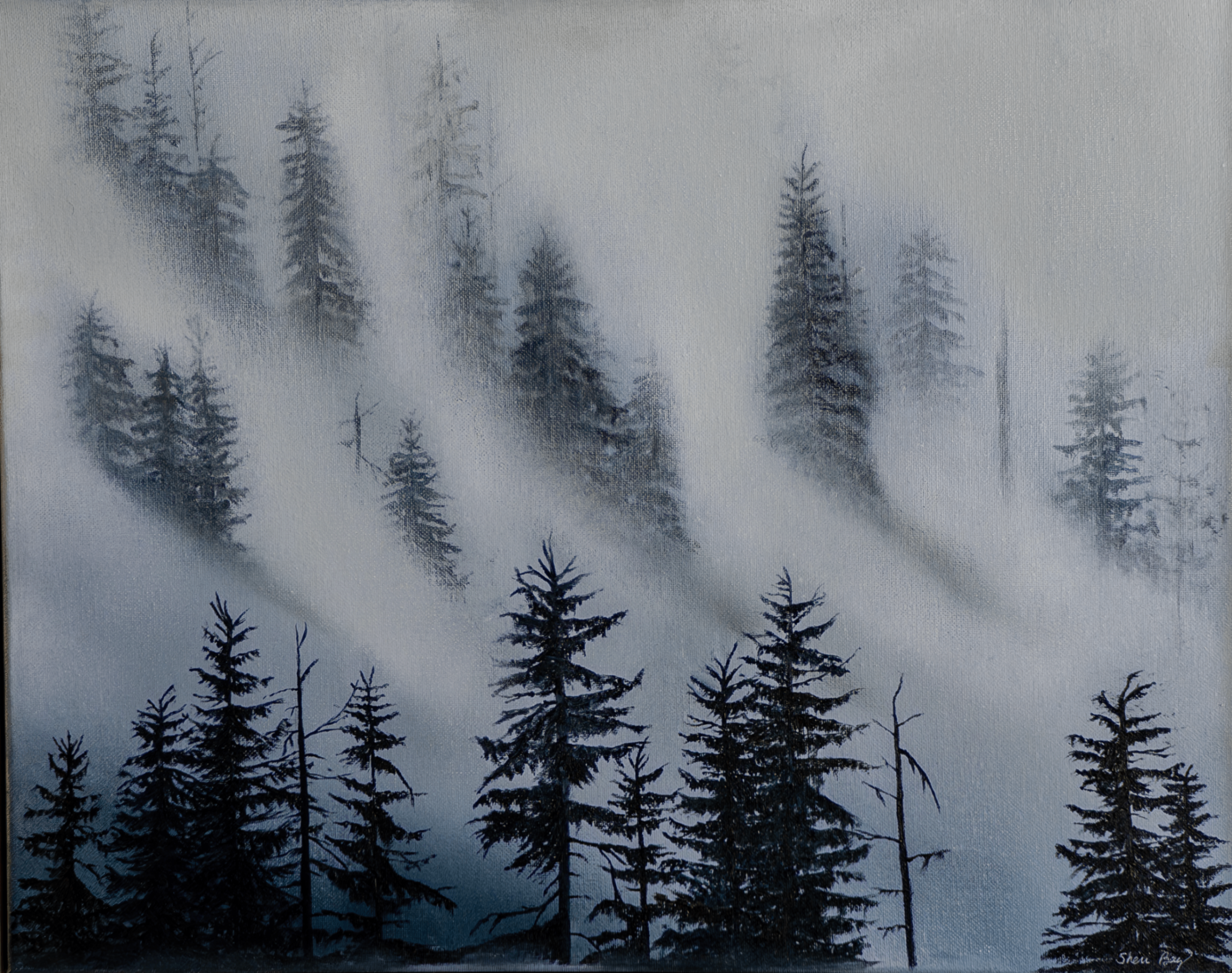 Misty Trees