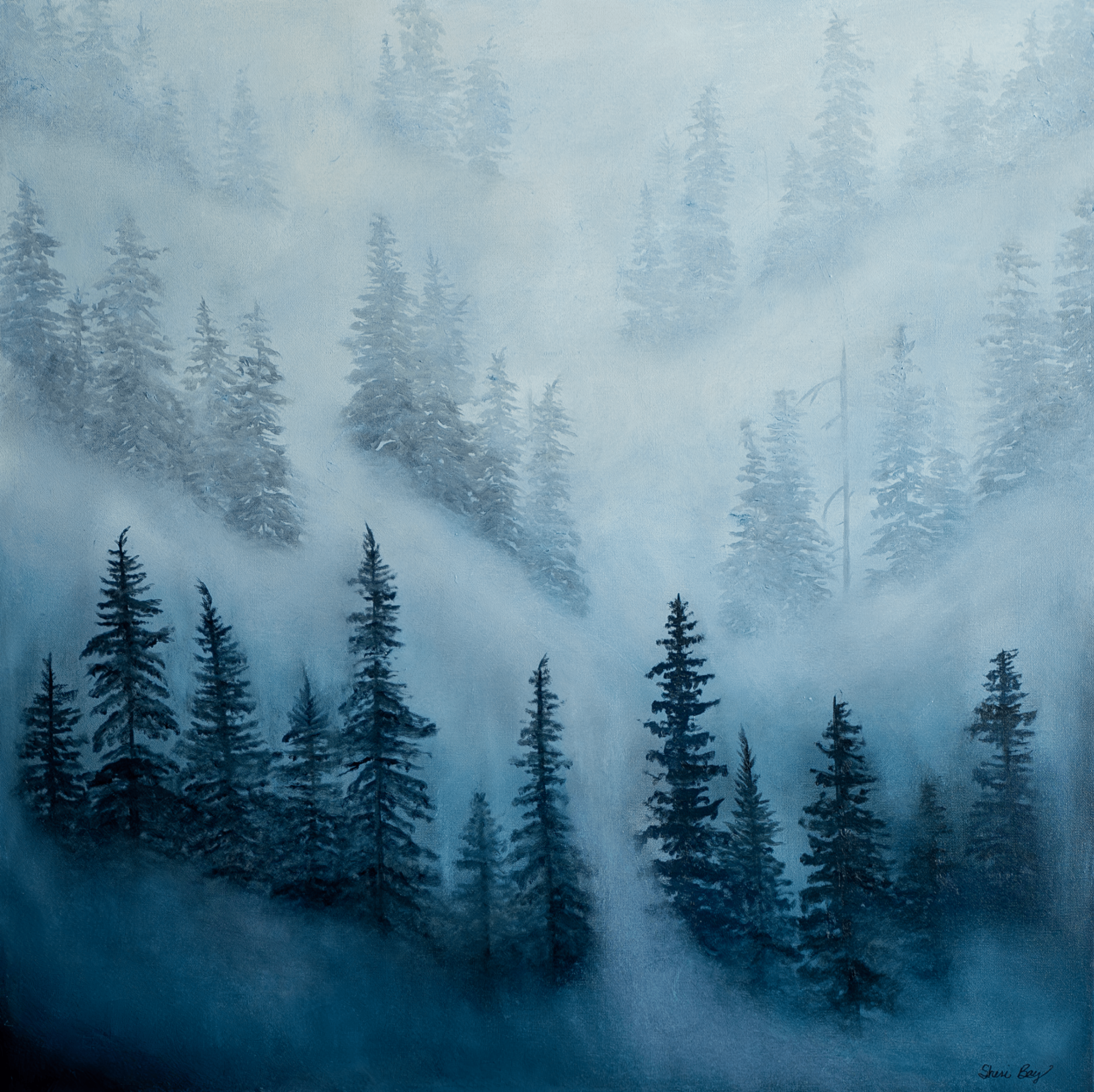 Trees in the Fog