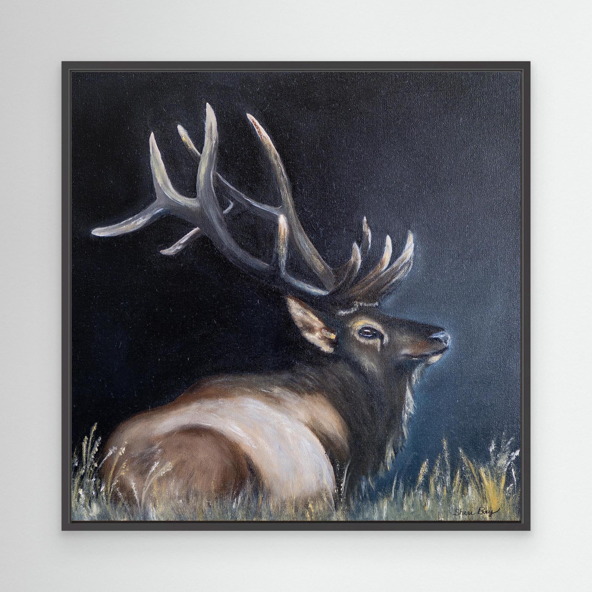 Elk