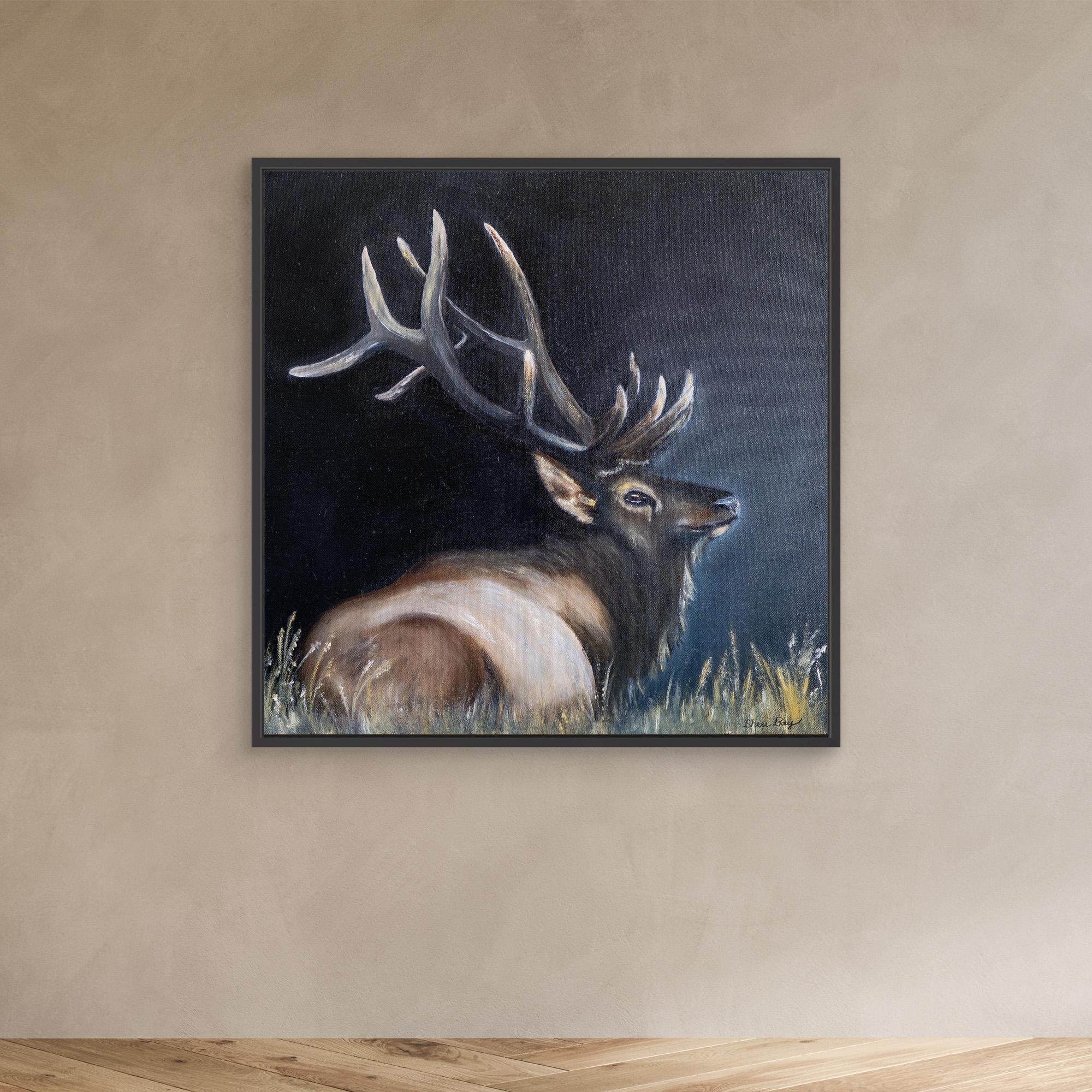 Elk