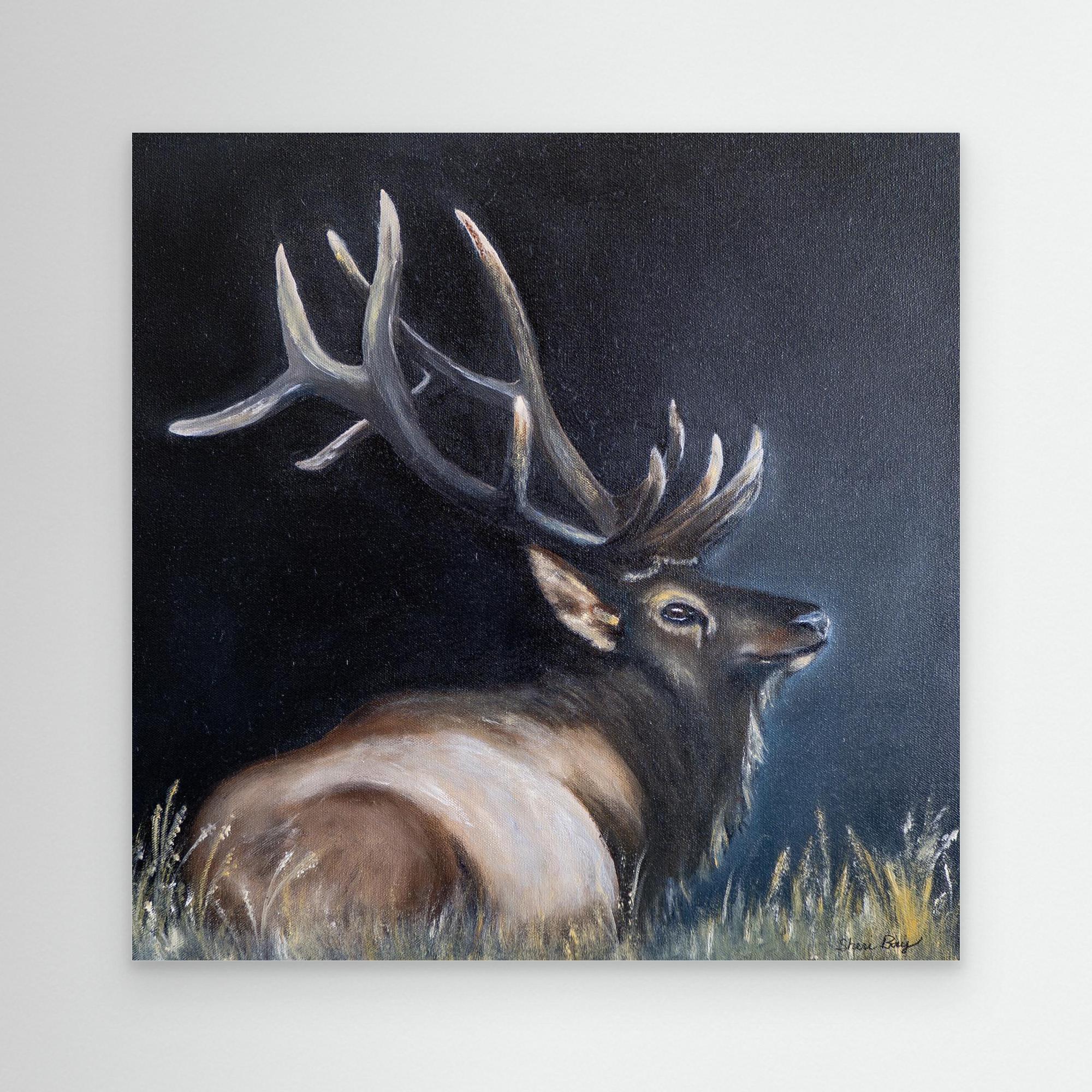 Elk